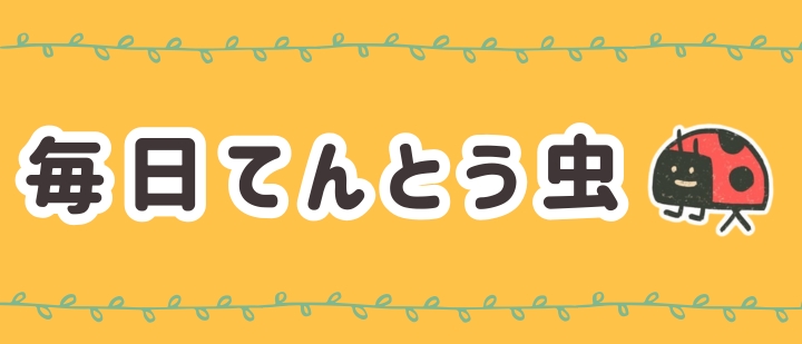 毎日てんとう虫