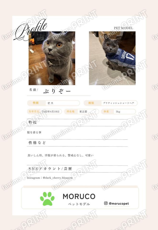 ぶりぞー＿プロフィールシート