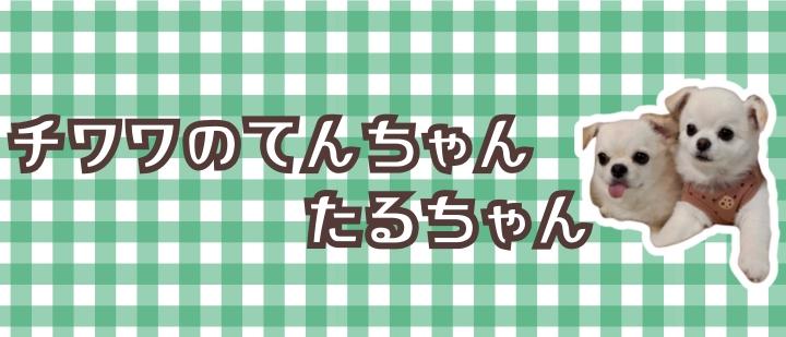 てんちゃんたるちゃん