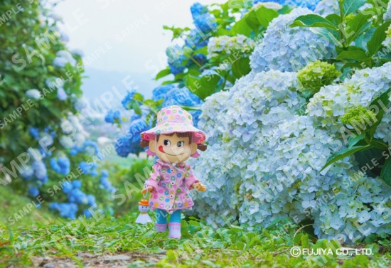 雨の日のお散歩