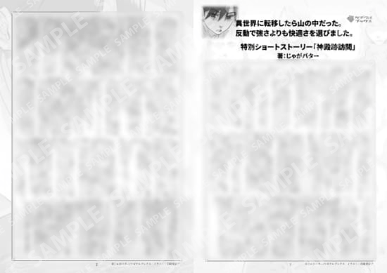 異世界に転移したら山の中だった。反動で強さよりも快適さを選びました。１巻特典SS「神殿跡訪問」