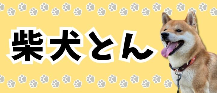 柴犬とん