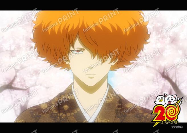 アニメ銀魂全367話振り返り(45)13