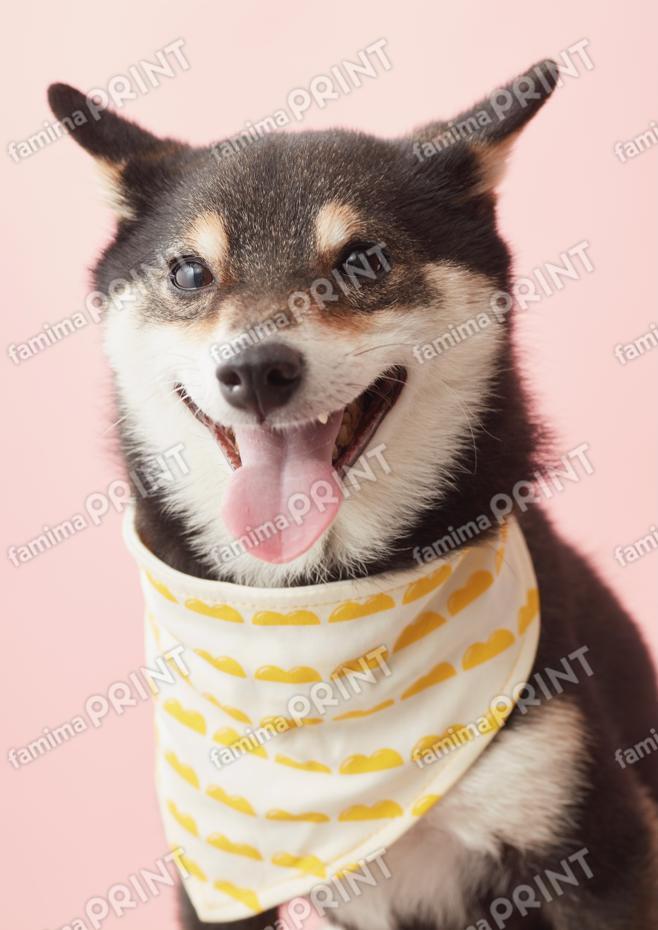 笑顔サブ