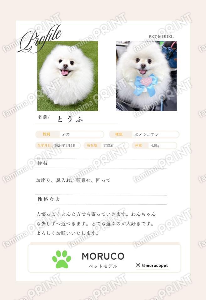 とうふ＿プロフィールシート