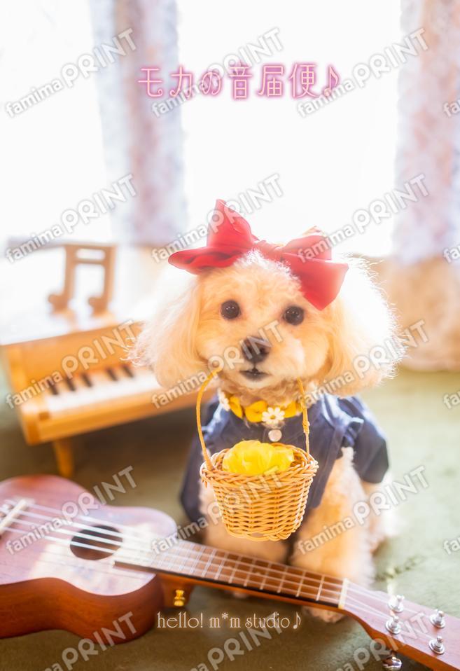 ハロー！モカの音届便♪A-3