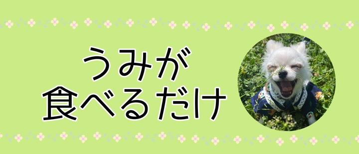 うみが食べるだけ