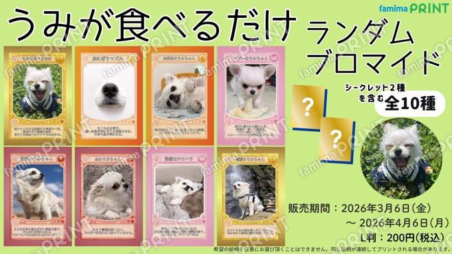 うみが食べるだけ　ランダムブロマイド