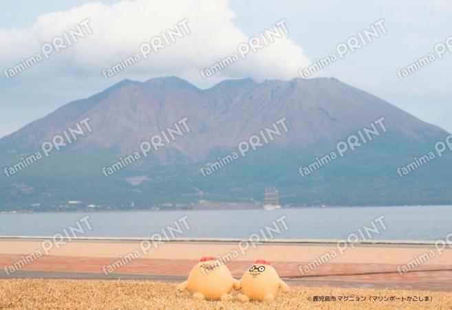 マグニョンブロマイド （マリンポートかごしまから見た桜島）