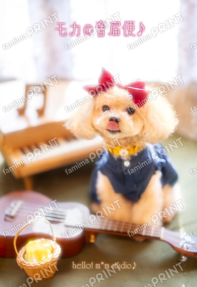 ハロー！モカの音届便♪A-5