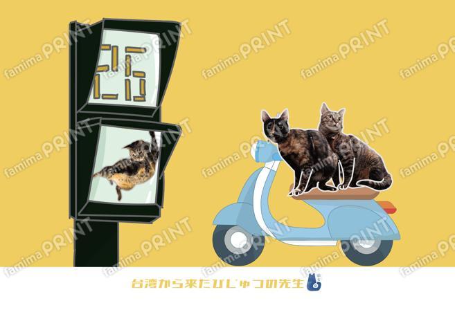 台湾から来た猫「美術老師」台湾生活ステッカー04