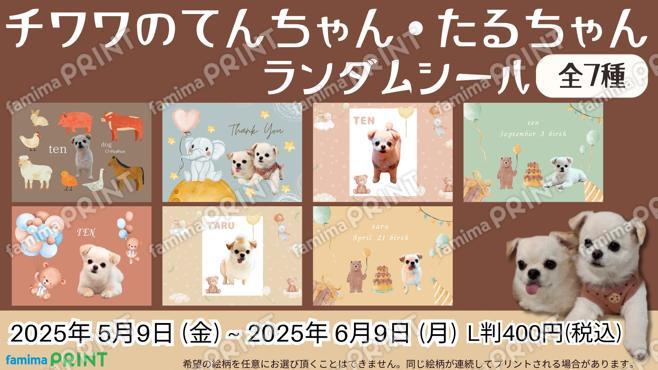 てんちゃんたるちゃんランダムシール