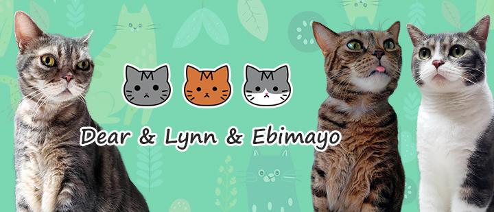 Dear&Lynn&Ebimayo