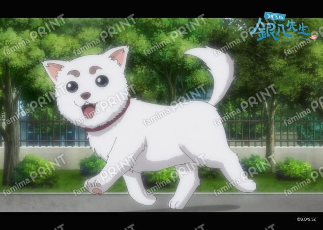 アニメ3年Z組銀八先生全12話振り返り(2)43