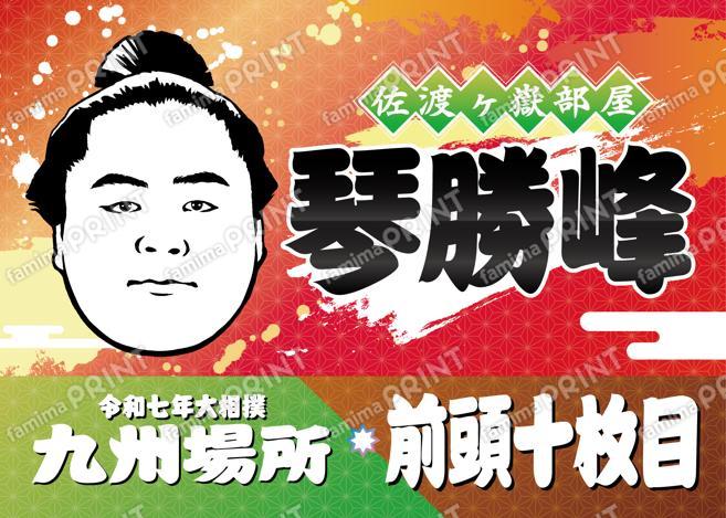 前頭十枚目　琴勝峰_L