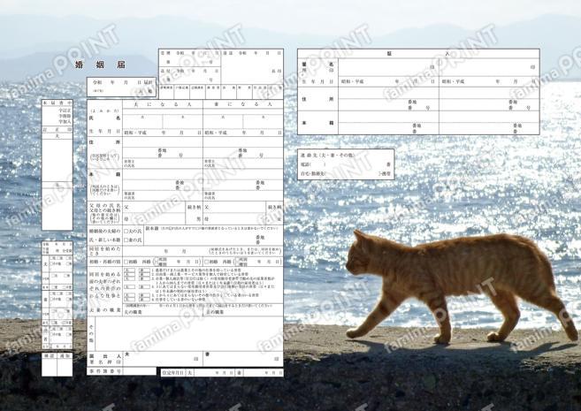おさんぽねこ