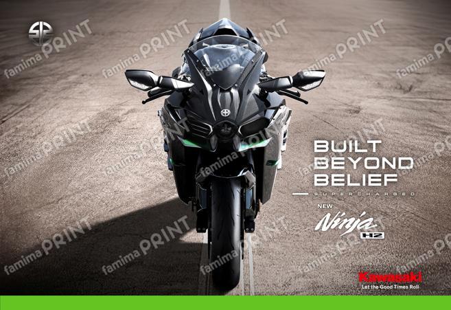 Ninja H2 CARBON
