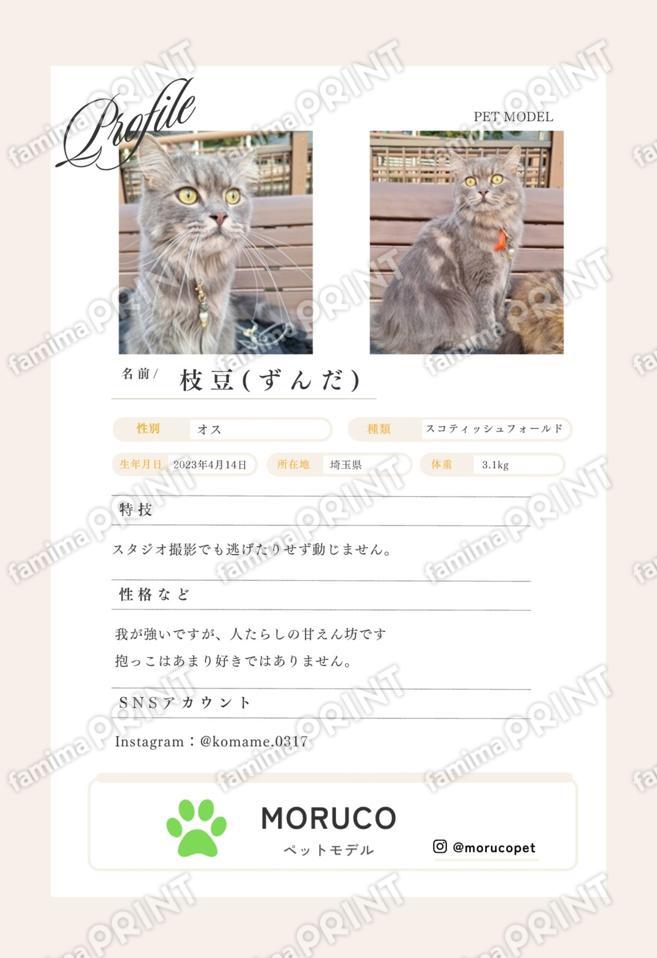 ずんだ＿プロフィールシート