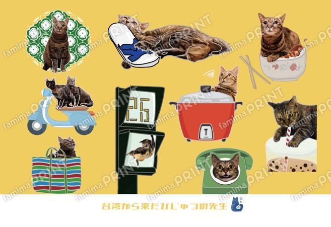 台湾から来た猫「美術老師」台湾生活ステッカー01