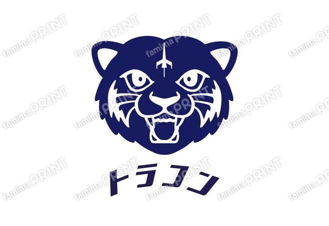 TRANS CONTINENTS 虎コン ネイビー