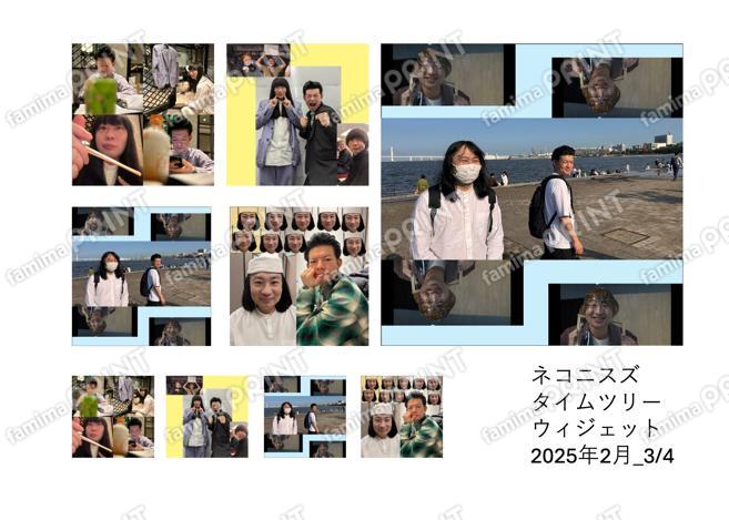 ネコニスズtimetree ウィジェット画像2025年2月03