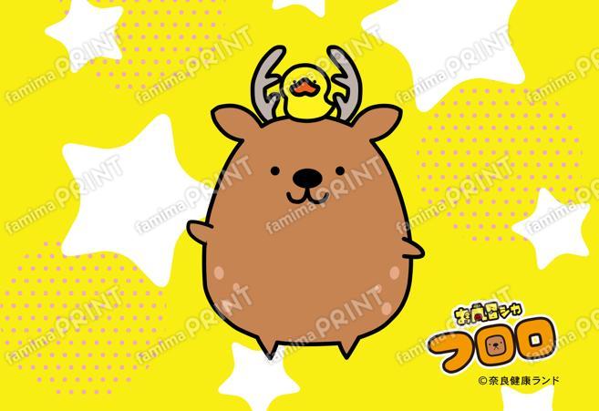 お風呂シカ フロロ ブロマイド