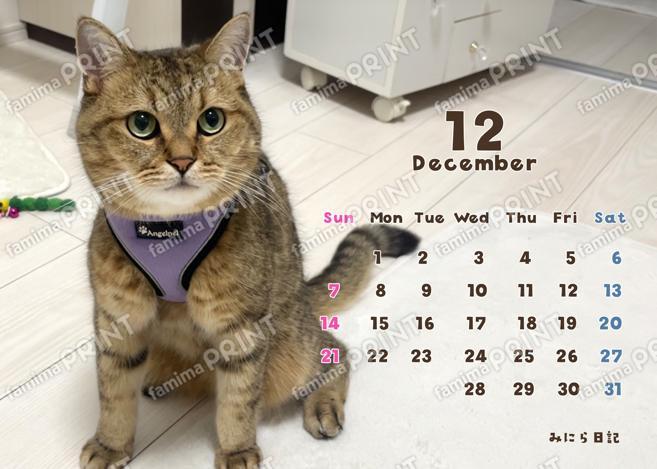 みにら日記_選択式カレンダー12月