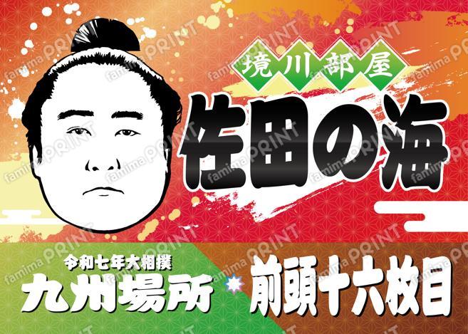 前頭十六枚目　佐田の海_2L