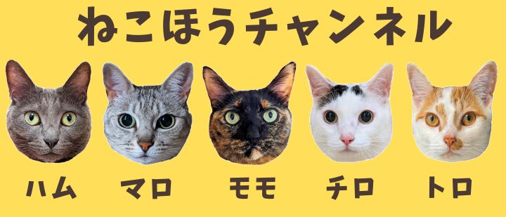 ねこほうチャンネル