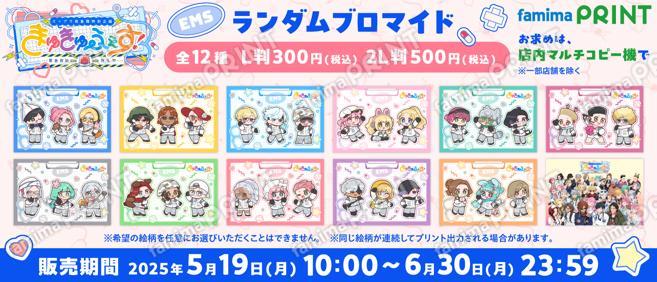 EMSランダムブロマイド