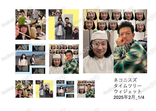 ネコニスズtimetree ウィジェット画像2025年2月01