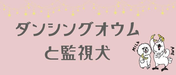 ダンシングオウムと監視犬