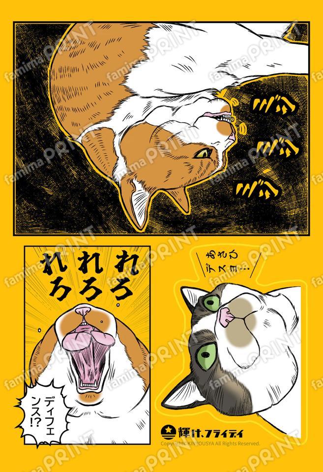 輝け、フライデイシール_06