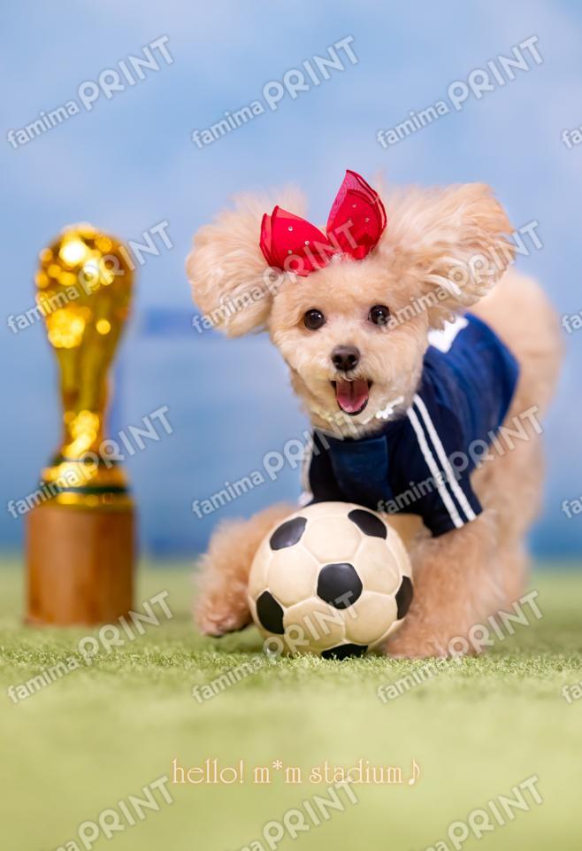 Hello! Mocha's Soccer Mail♪ Japan National Team Edition