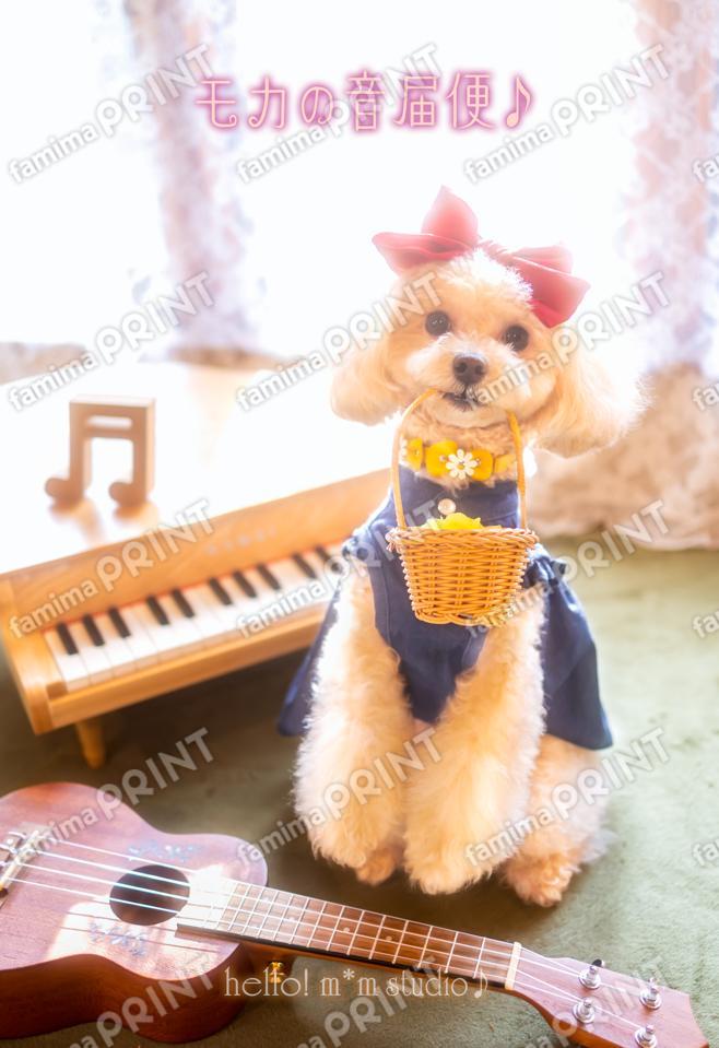 ハロー！モカの音届便♪A-4