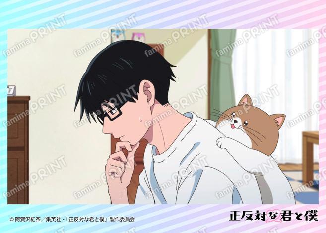 TV动画『截然相反的你和我』场景拍摄照片第3话08