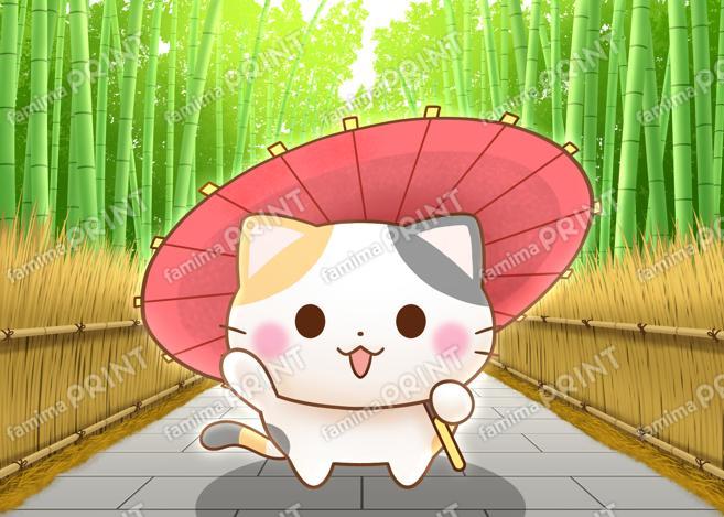 京都の三毛猫さん 嵐山にて