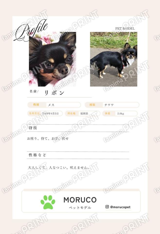リボン＿プロフィールシート