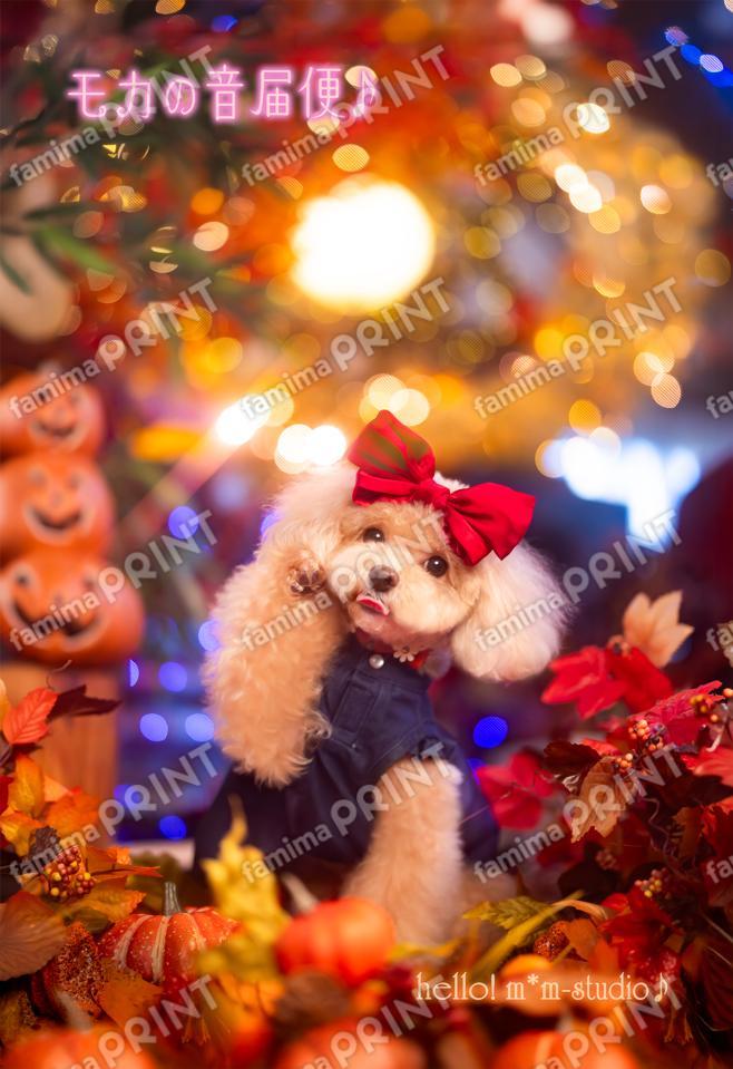 Hello! Mocha's Sound Delivery Service ♪ Halloween Edition 5