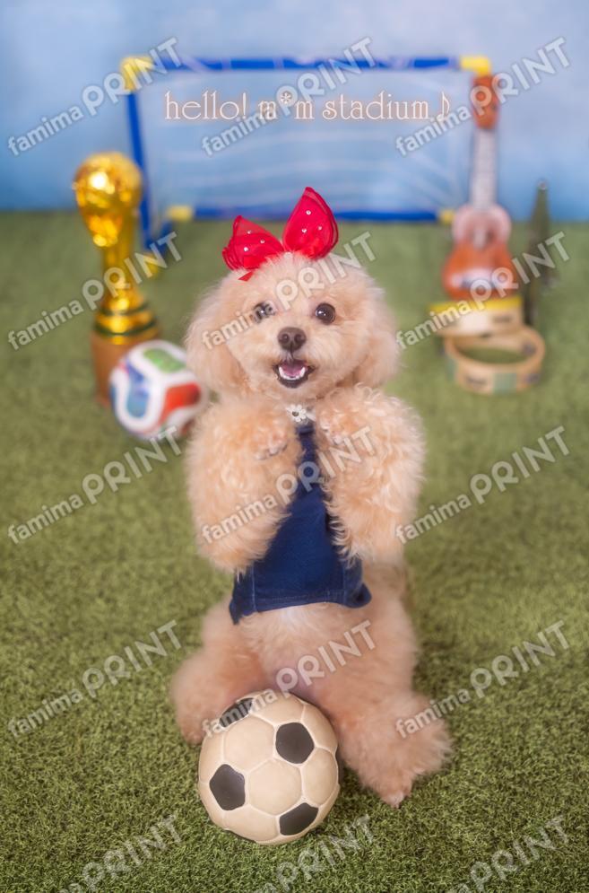 Hello! Moka's Soccer Mail♪ Hooray!