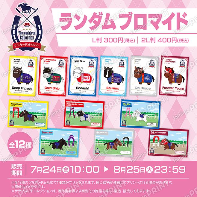 サラブレッドコレクション ランダムブロマイド