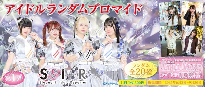 SIR　ランダムブロマイド　第1弾