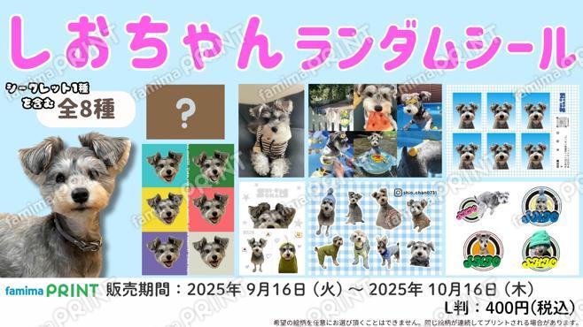 しおちゃん　ランダムシール