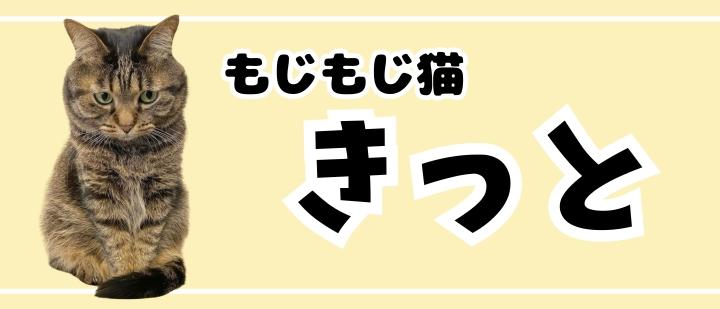 もじもじ猫きっと