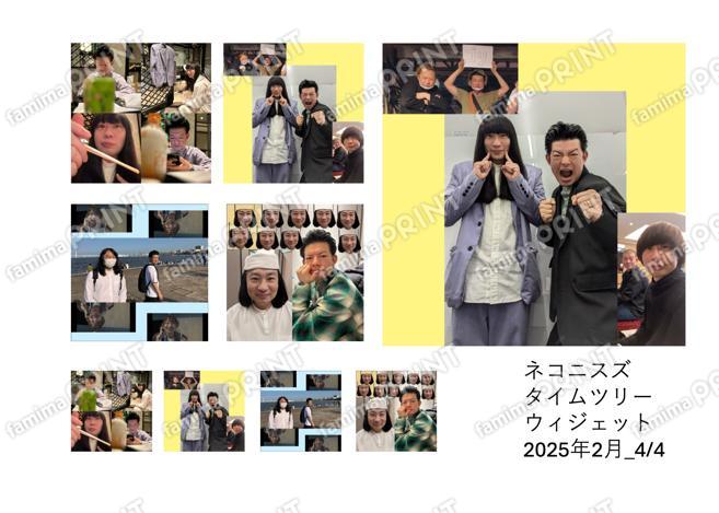 ネコニスズtimetree ウィジェット画像2025年2月04