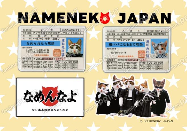 なめ猫(免許証デザイン)