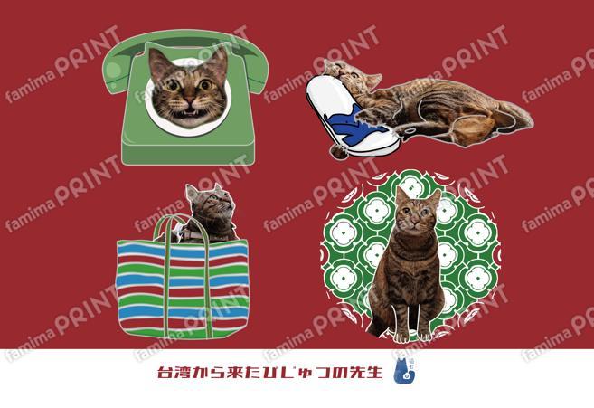 台湾から来た猫「美術老師」台湾生活ステッカー02