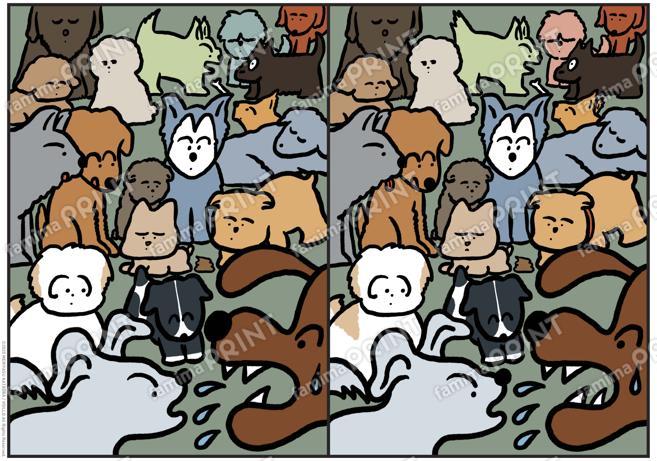 DOG間違い探し10個_color