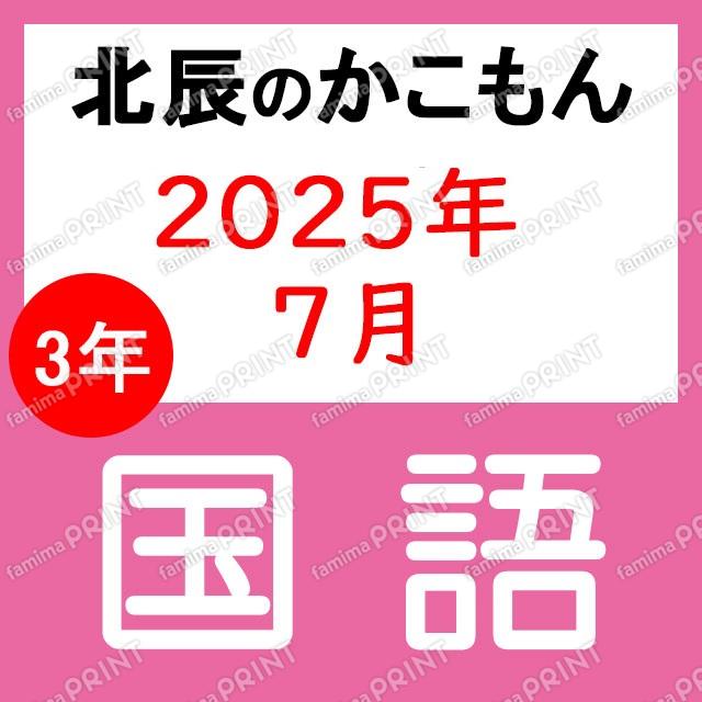 2025年度北辰考试3年3次国语