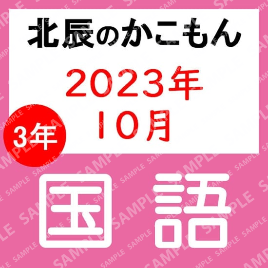 2023年度北辰テスト３年５回国語